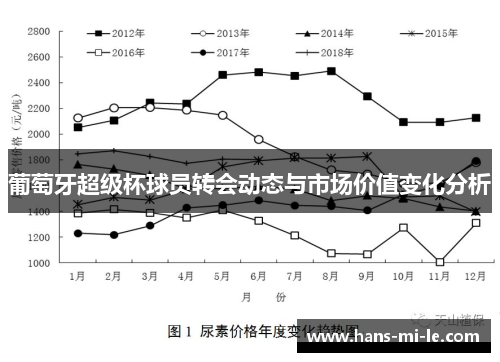 葡萄牙超级杯球员转会动态与市场价值变化分析