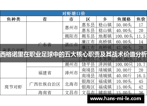 西格诺里在职业足球中的五大核心职责及其战术价值分析