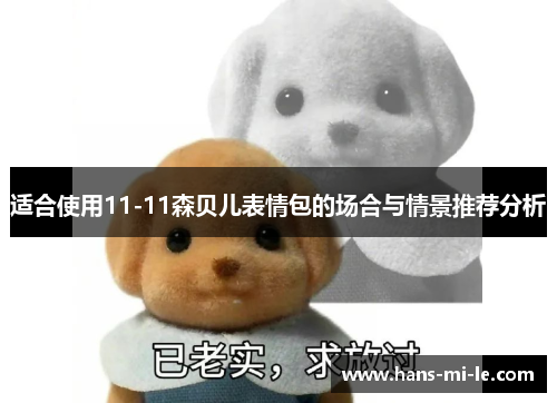 适合使用11-11森贝儿表情包的场合与情景推荐分析