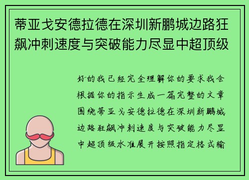 蒂亚戈安德拉德在深圳新鹏城边路狂飙冲刺速度与突破能力尽显中超顶级水准